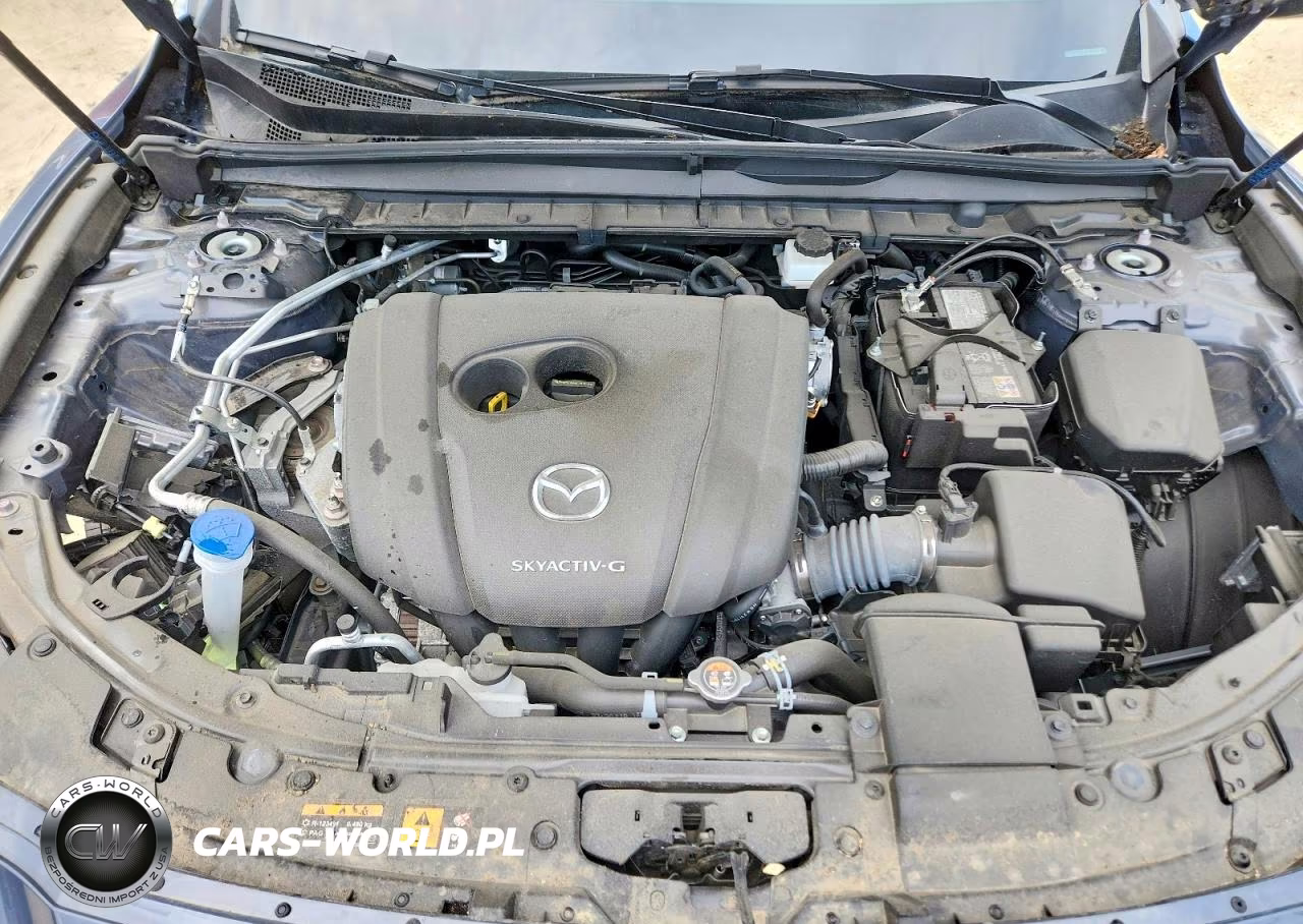 2024 Mazda Cx-50 Premium Plus VIN:7MMVABEM4RN224558 - 12
