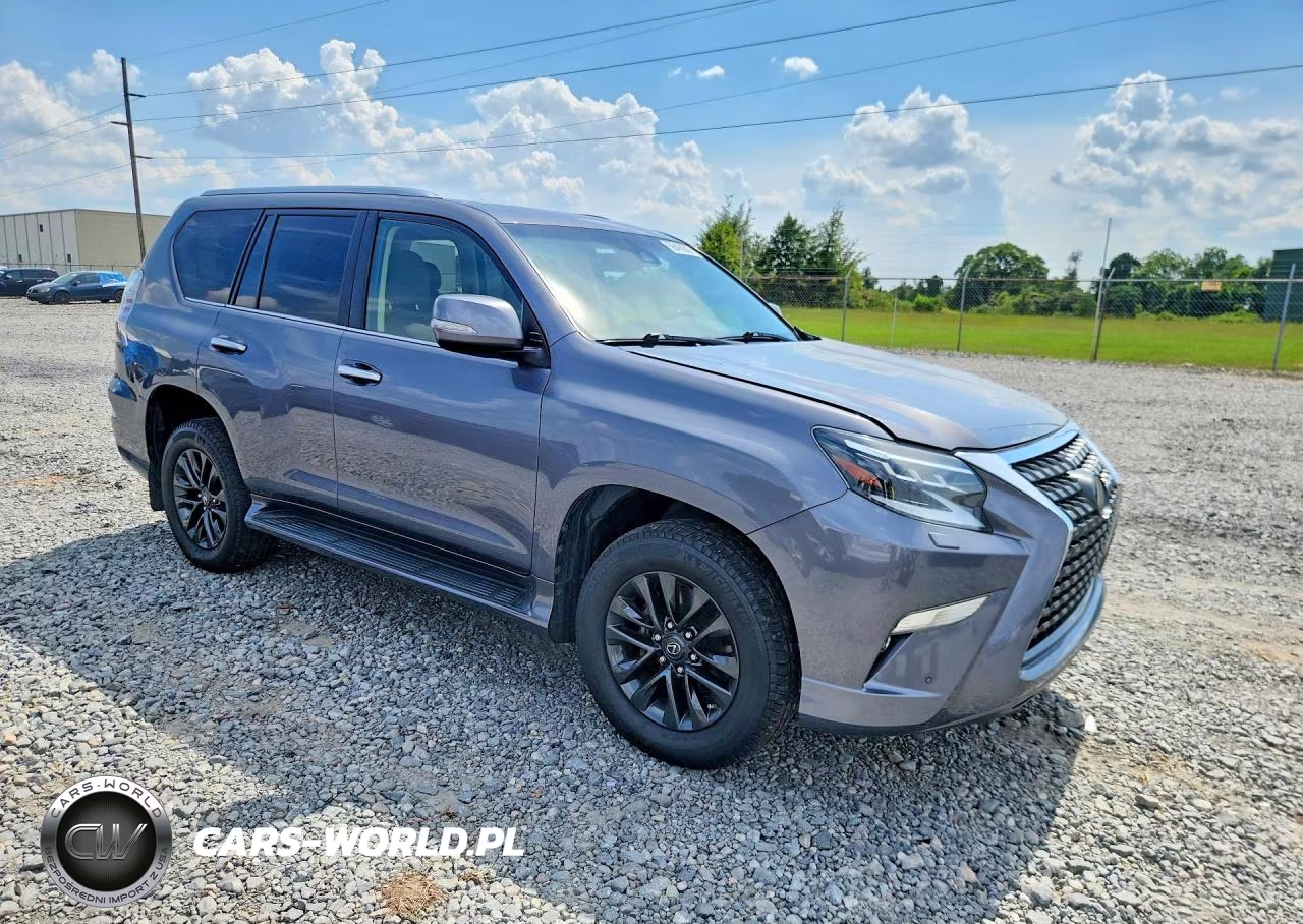 2020 Lexus Gx 460 Premium VIN:JTJAM7BX8L5241255 - 4