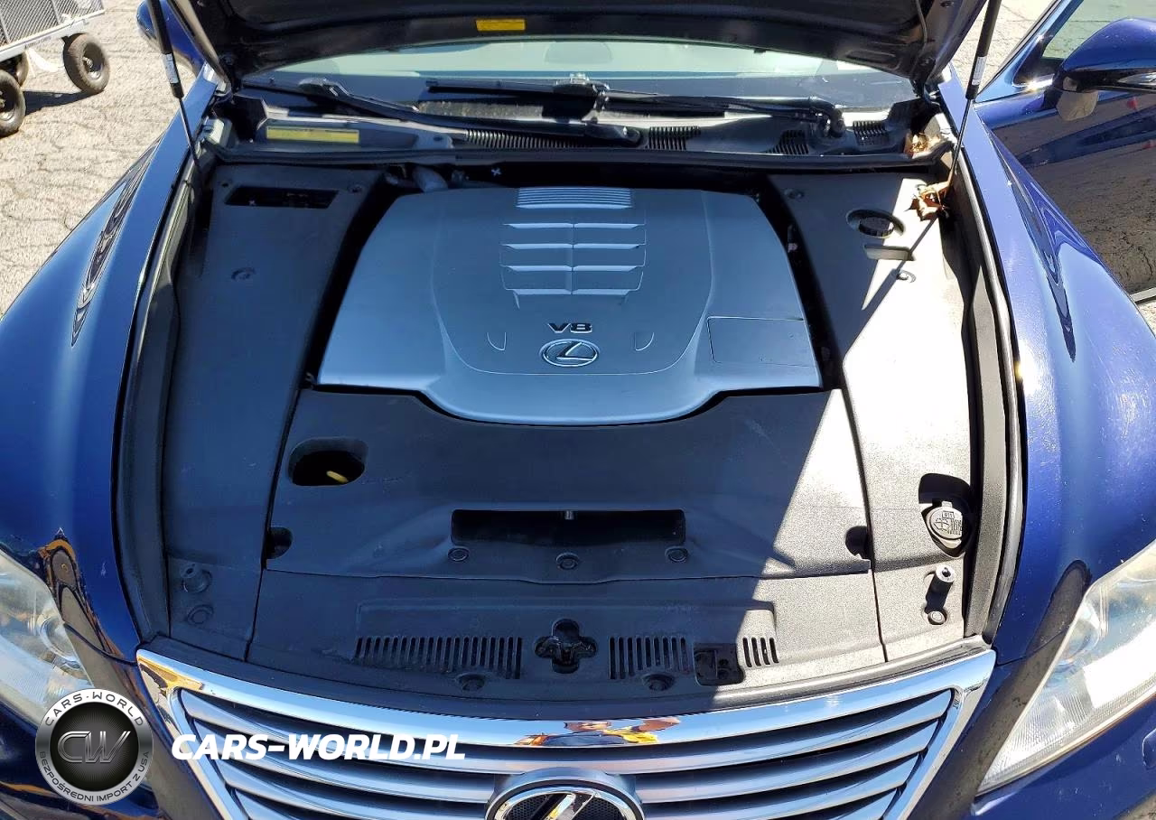 2010 Lexus Ls 460 VIN:JTHBL5EF3A5094985 - 11