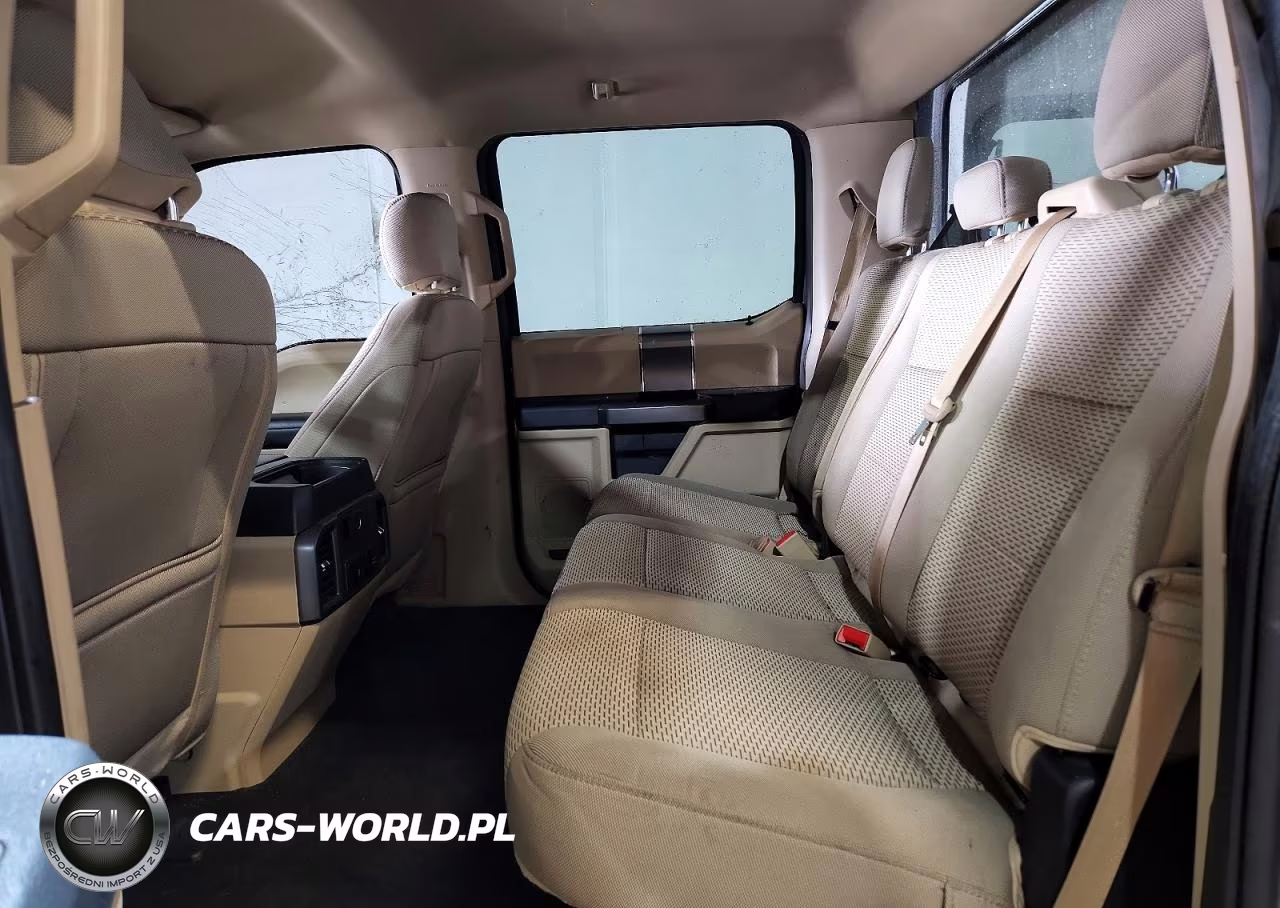 2019 Ford F150 Supercrew VIN:1FTEW1E54KKC66479 - 10