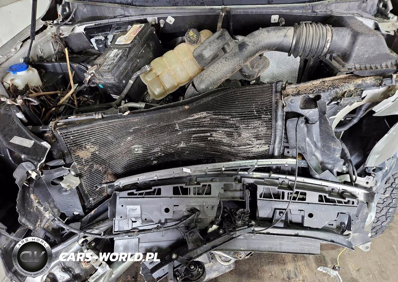 2019 Ford F150 Supercrew VIN:1FTEW1E54KKC66479 - 11