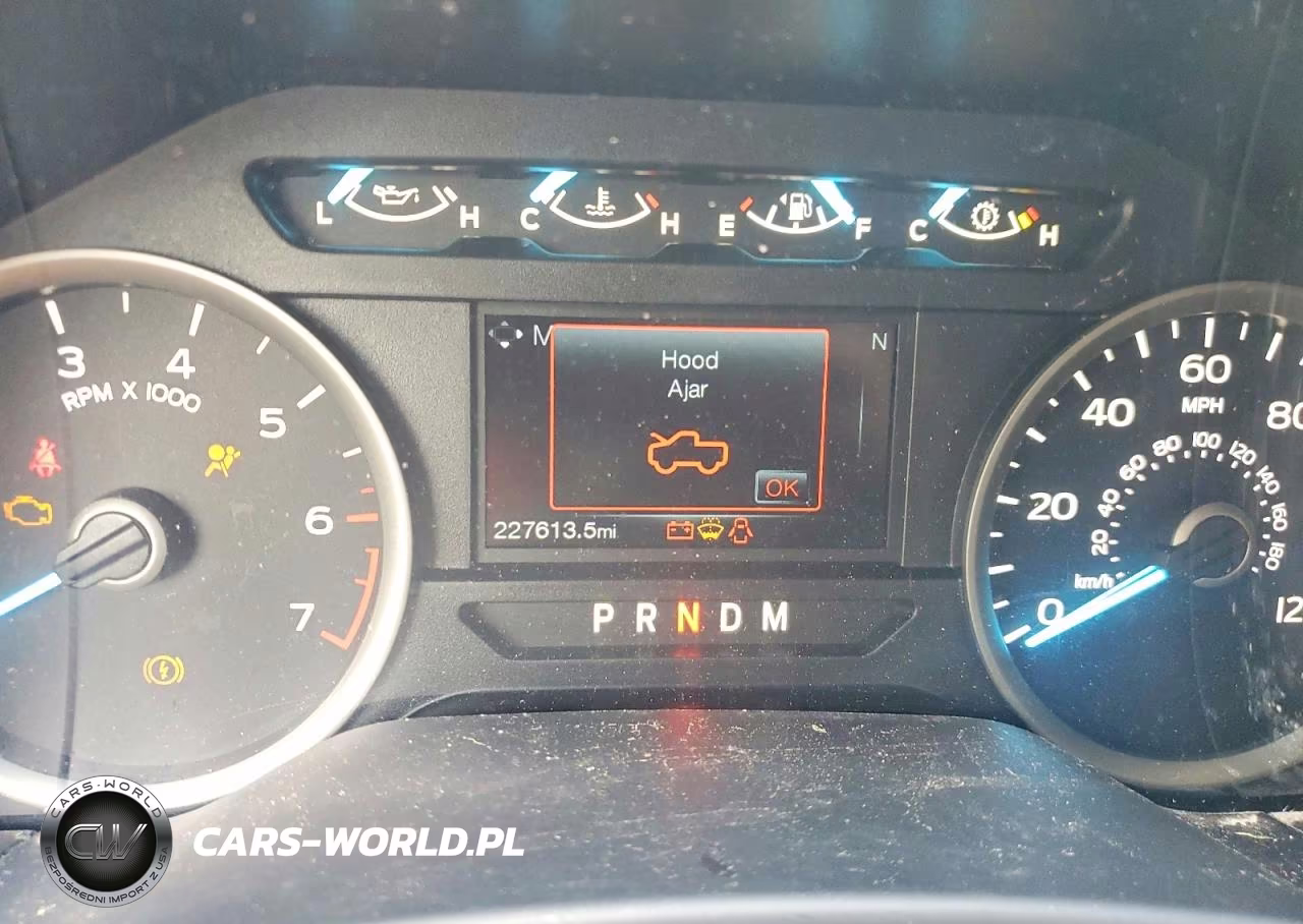 2019 Ford F150 Supercrew VIN:1FTEW1E54KKC66479 - 9
