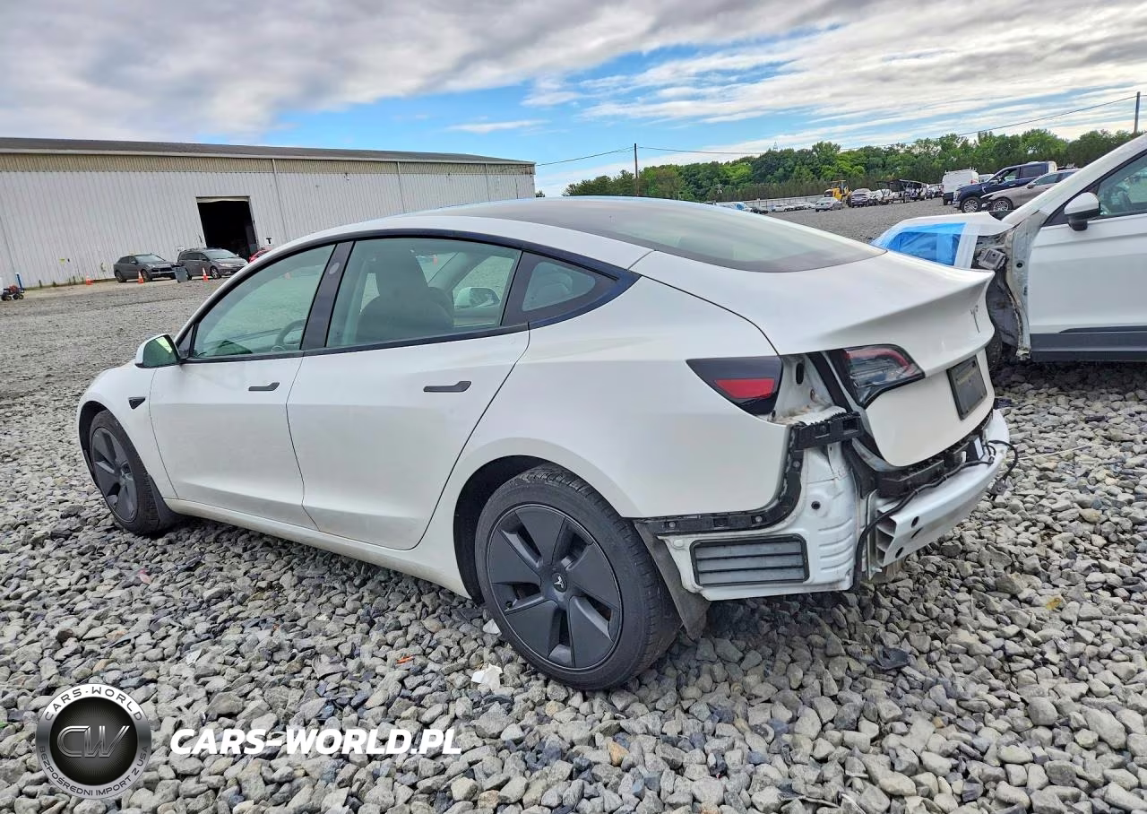 2023 Tesla Model 3 VIN:5YJ3E1EA0PF573918 - 2