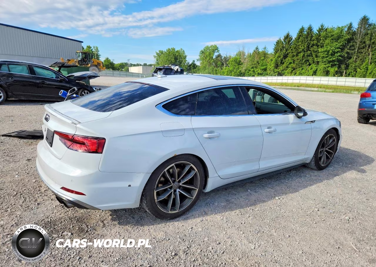 2018 Audi S5 Premium Plus VIN:WAUB4CF59JA135391 - 3