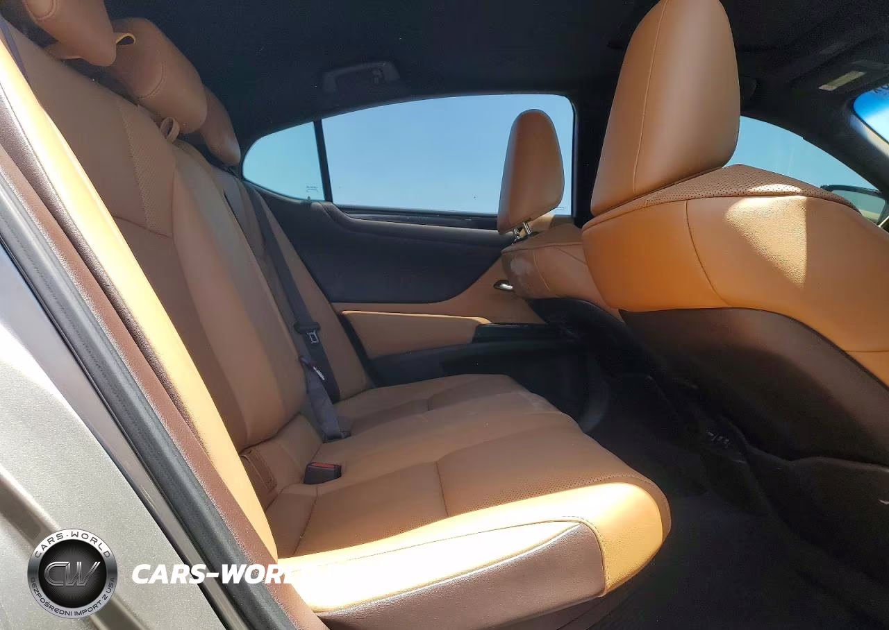 2021 Lexus Es 300H Base VIN:58ACA1C13MU003563 - 10