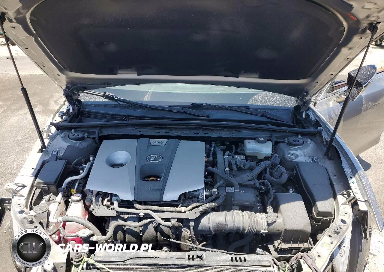2021 Lexus Es 300H Base VIN:58ACA1C13MU003563 - 11