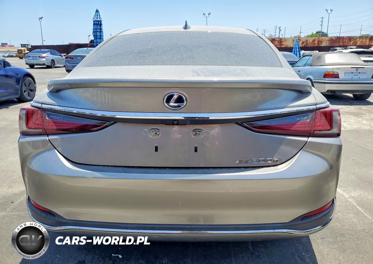 2021 Lexus Es 300H Base VIN:58ACA1C13MU003563 - 6