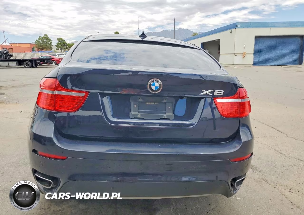2009 BMW X6 VIN:5UXFG83579LZ92515 - 6