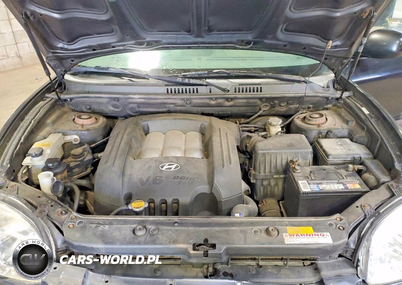 2005 Hyundai Santa Fe Gls VIN:KM8SC73D25U010046 - 12