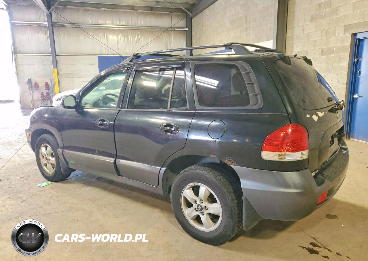 2005 Hyundai Santa Fe Gls VIN:KM8SC73D25U010046 - 2