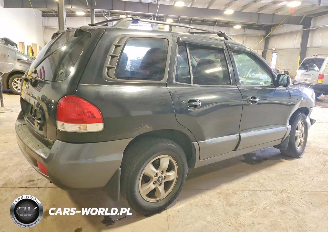 2005 Hyundai Santa Fe Gls VIN:KM8SC73D25U010046 - 3