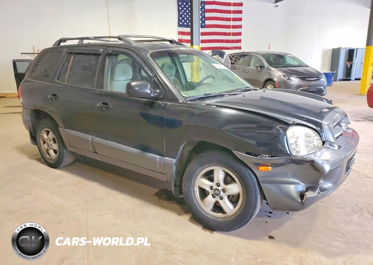 2005 Hyundai Santa Fe Gls VIN:KM8SC73D25U010046 - 4