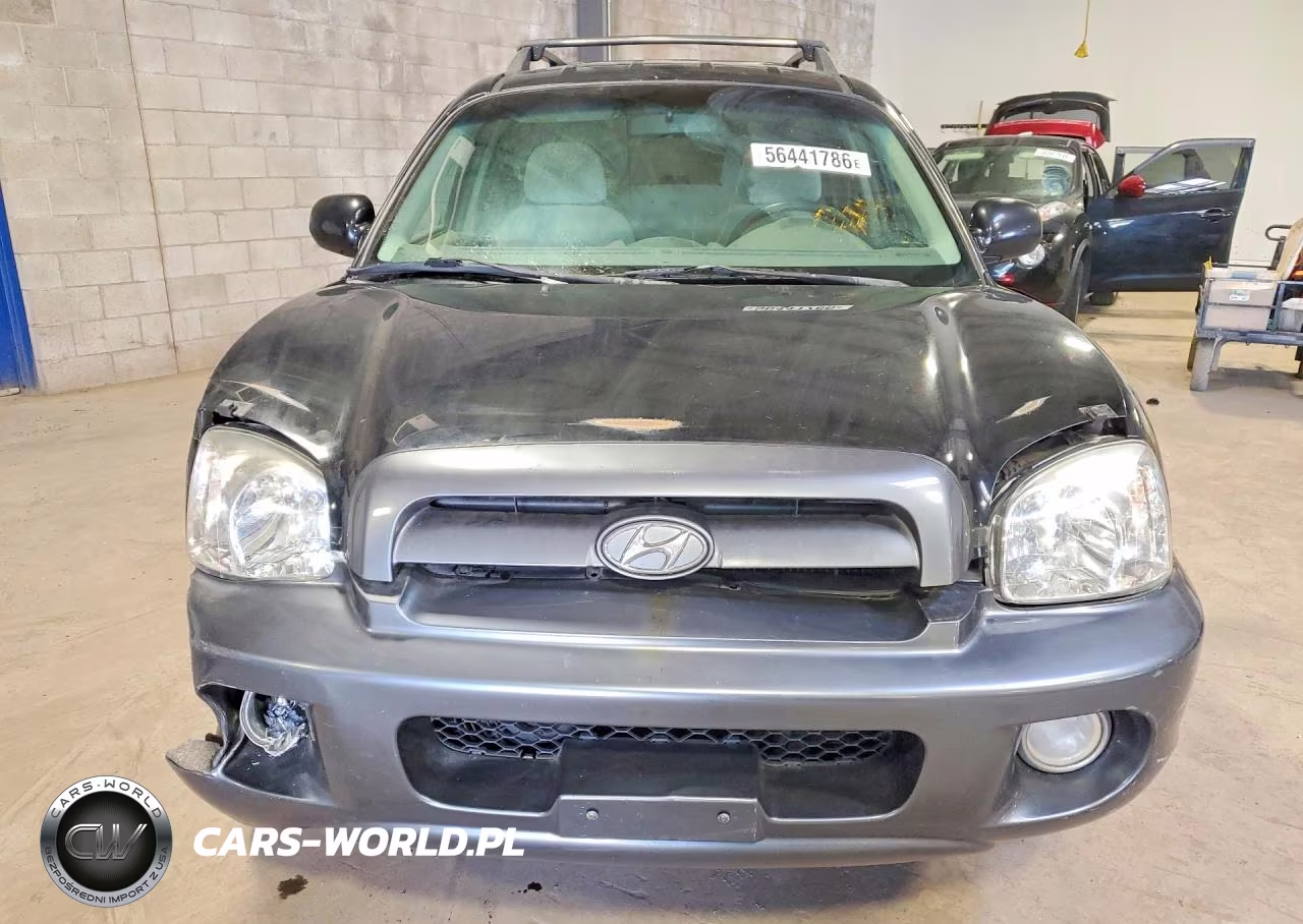 2005 Hyundai Santa Fe Gls VIN:KM8SC73D25U010046 - 5