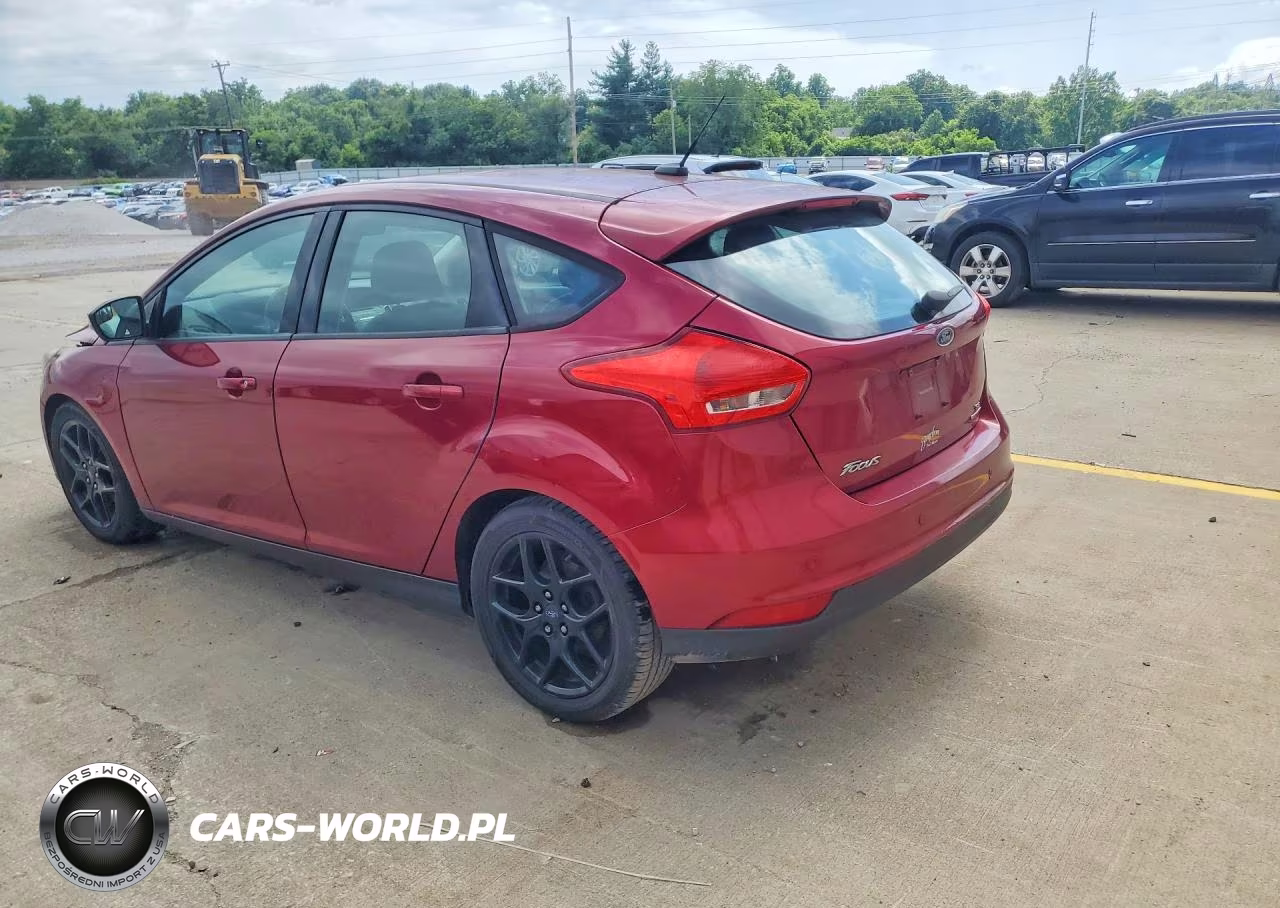 2016 Ford Focus Se VIN:1FADP3K20GL311794 - 2