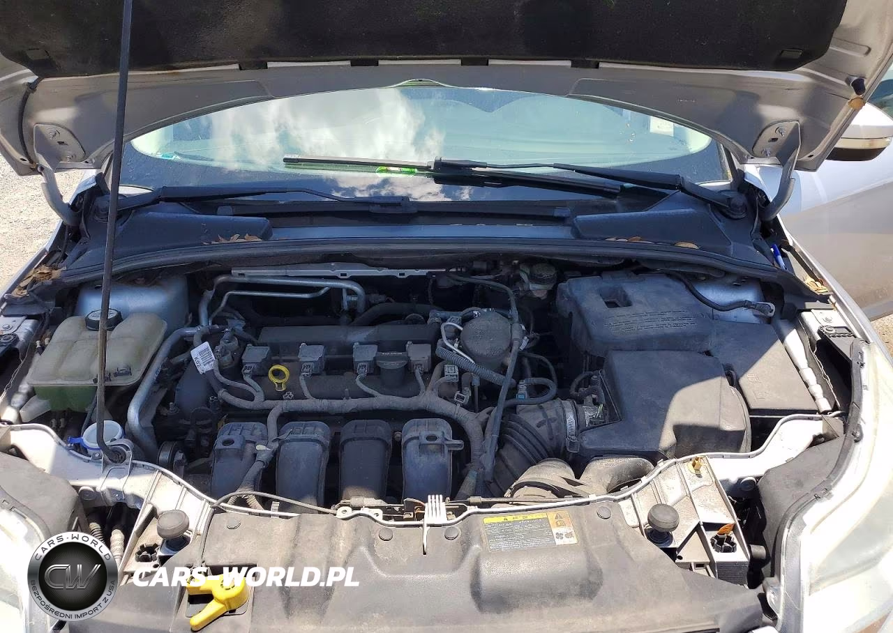 2012 Ford Focus Sel VIN:1FAHP3M23CL317596 - 12