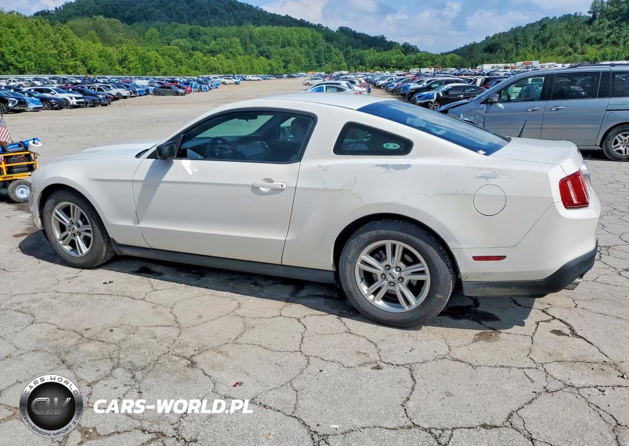 2012 Ford Mustang VIN:1ZVBP8AMXC5206967 - 2