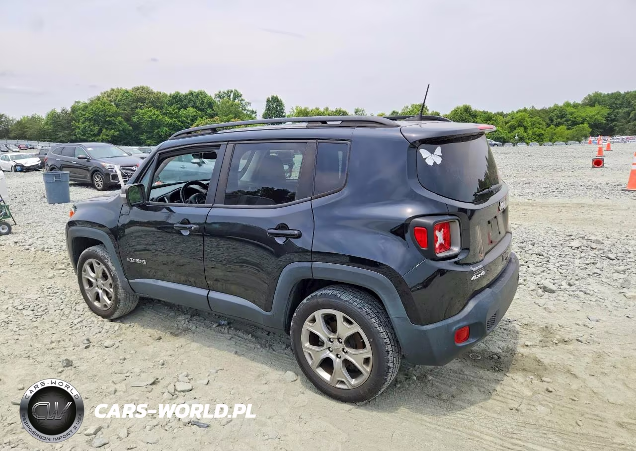 2019 Jeep Renegade Limited VIN:ZACNJBD15KPJ94309 - 2