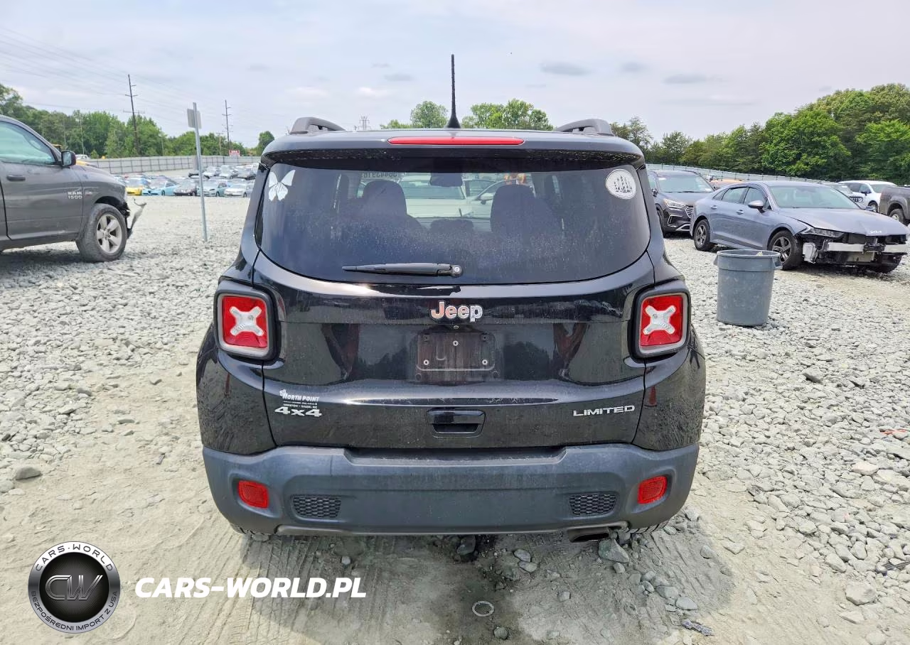 2019 Jeep Renegade Limited VIN:ZACNJBD15KPJ94309 - 6