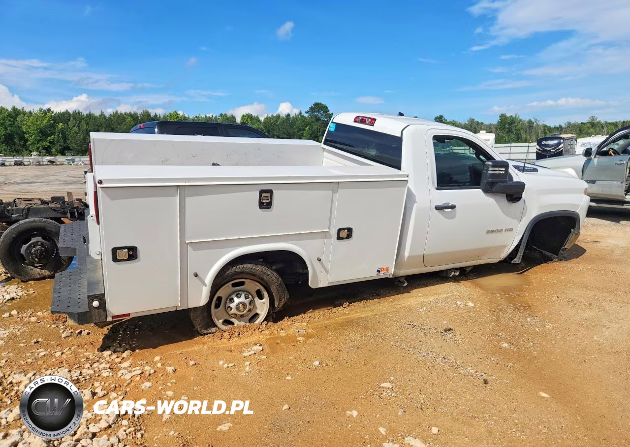 2025 Chevrolet Silverado C2500 Heavy Duty VIN:1GC0ALE77SF189069 - 3