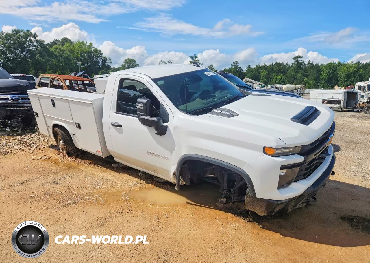 2025 Chevrolet Silverado C2500 Heavy Duty VIN:1GC0ALE77SF189069 - 4