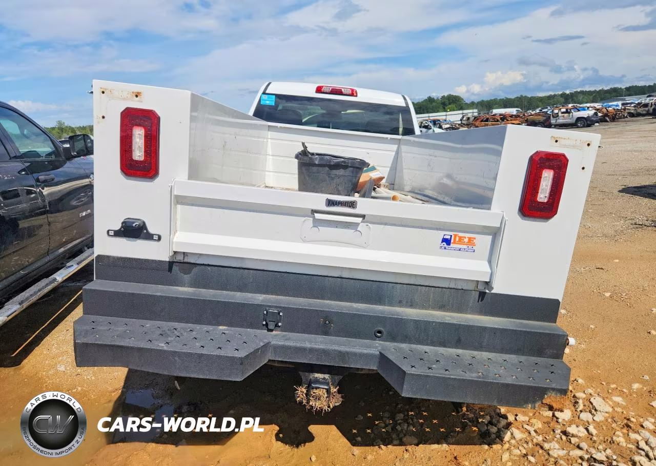 2025 Chevrolet Silverado C2500 Heavy Duty VIN:1GC0ALE77SF189069 - 6