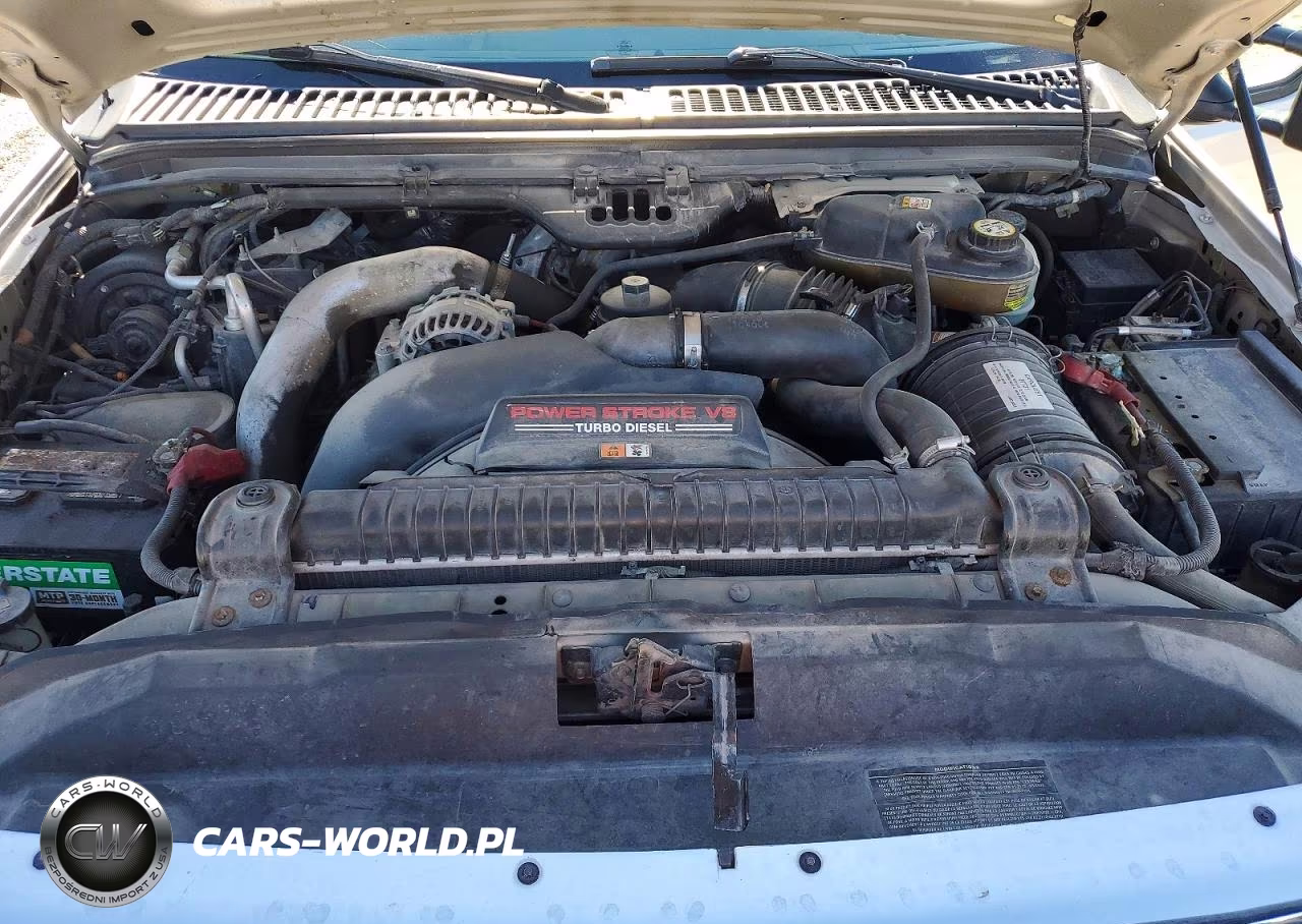 2005 Ford F250 Super Duty VIN:1FTSW21P05ED38295 - 11