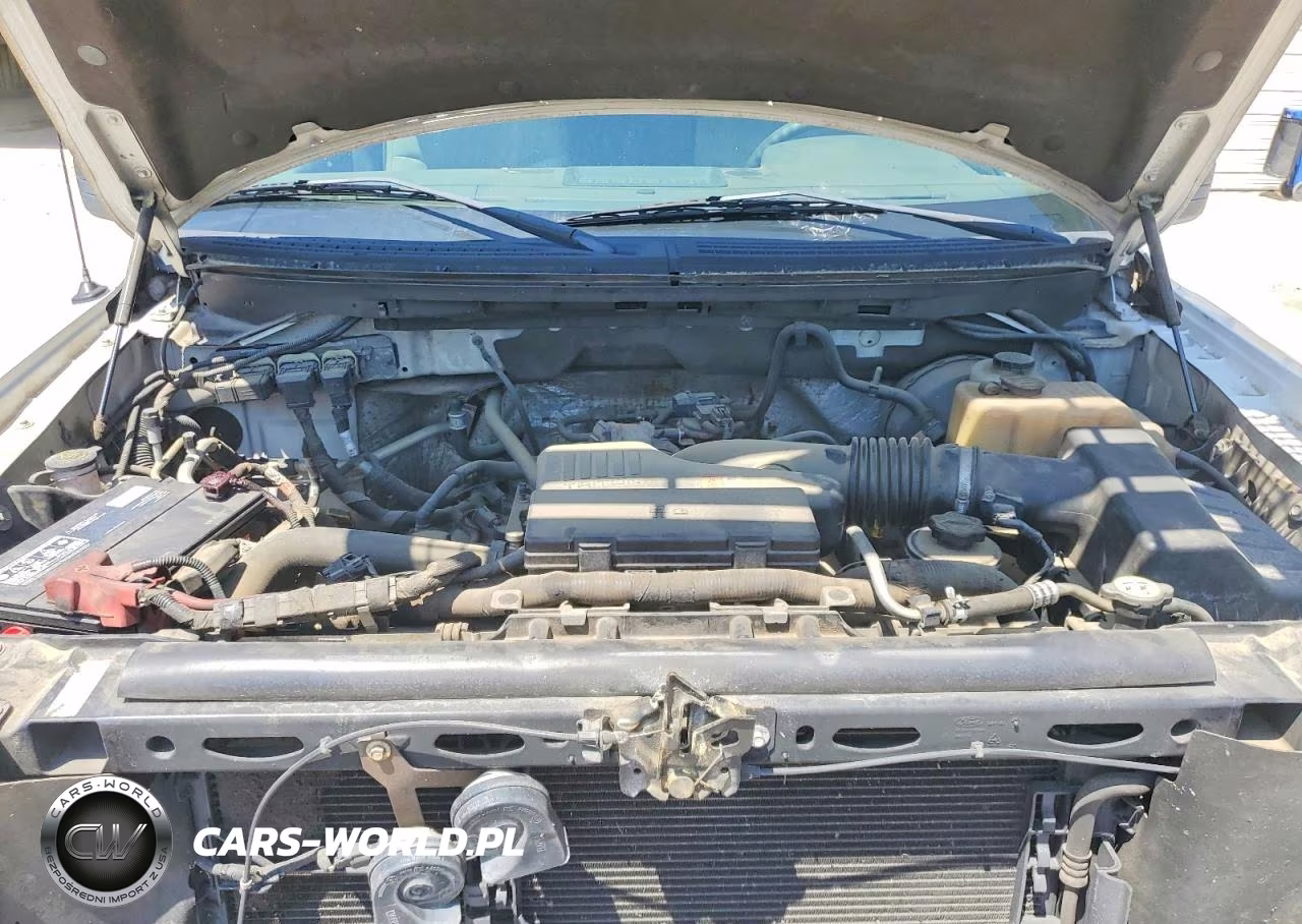 2010 Ford F150 VIN:1FTMF1CW2AKA46506 - 11