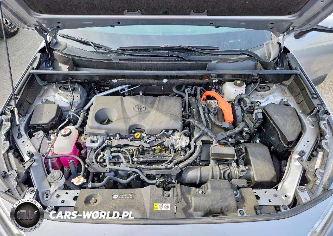 2023 Toyota Rav4 Le VIN:JTMMWRFV7PD194200 - 12