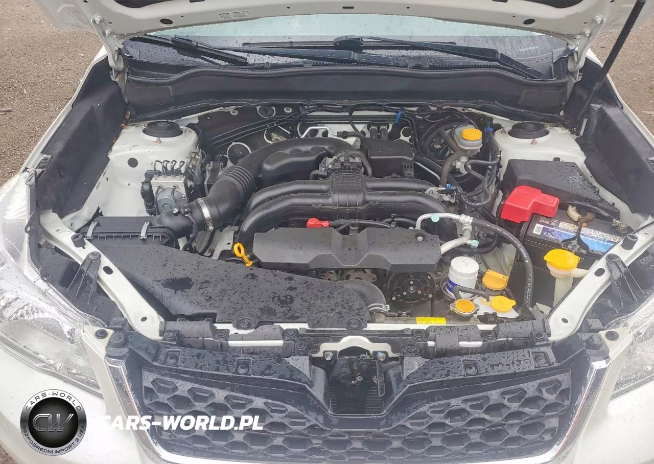 2014 Subaru Forester 2.5I Limited VIN:JF2SJAJCXEH435557 - 12