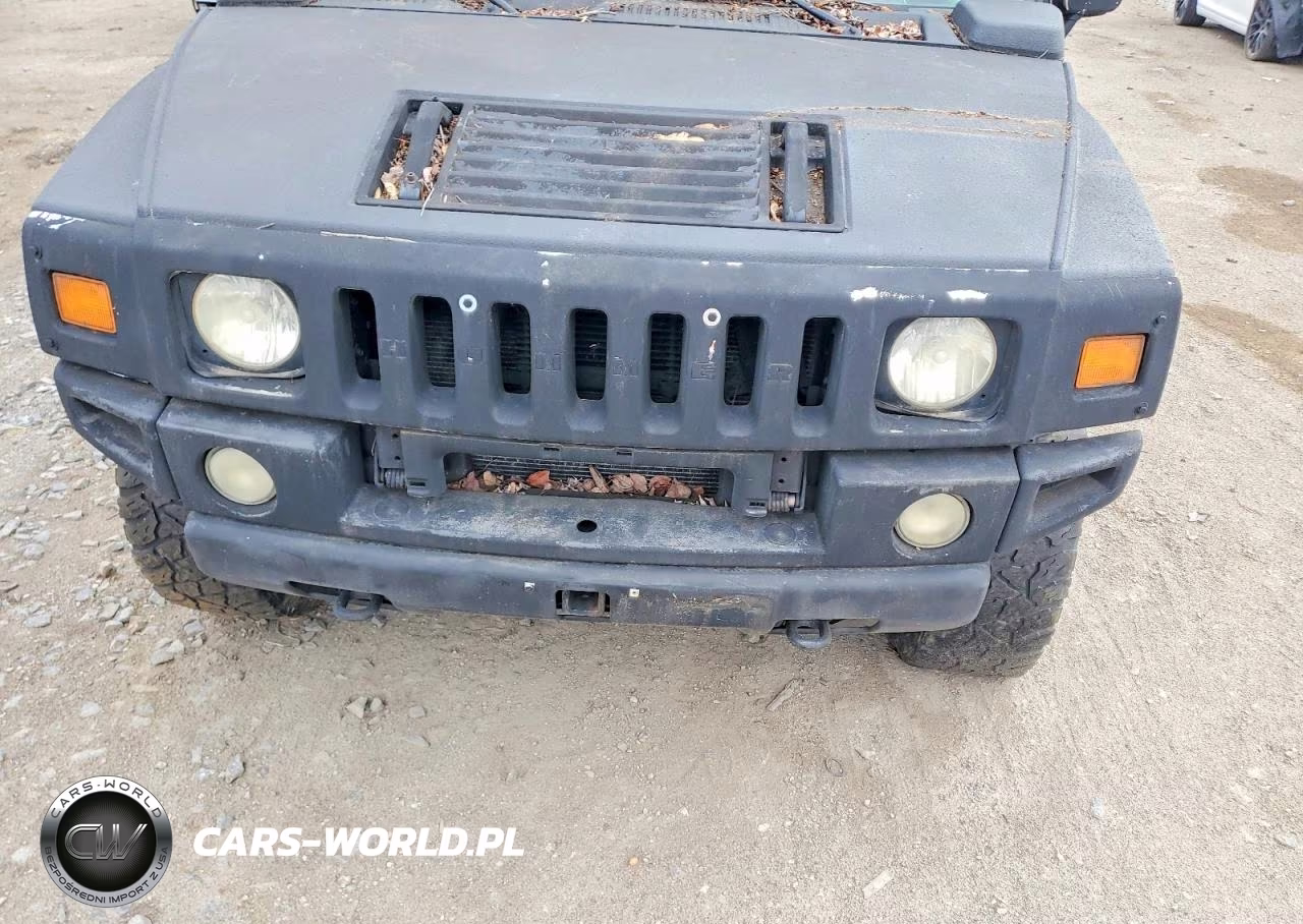 2003 Hummer H2 VIN:5GRGN23U53H138681 - 12