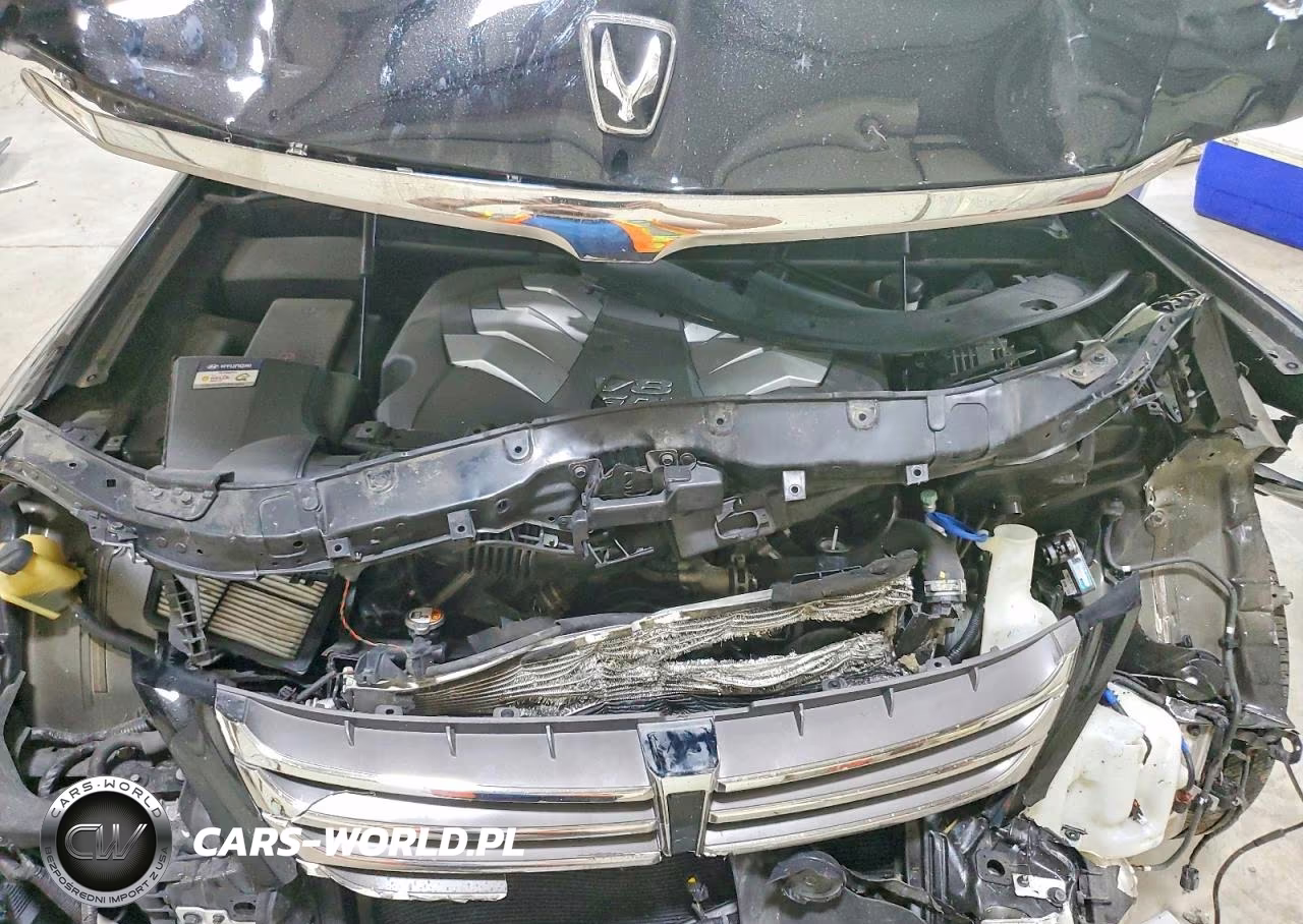 2015 Hyundai Equus Signature VIN:KMHGH4JH4FU095890 - 11