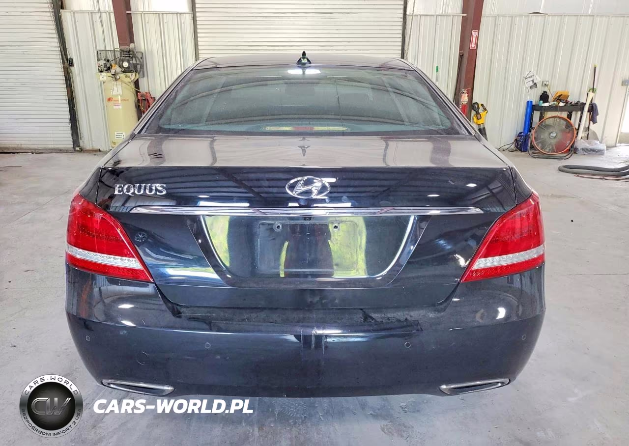 2015 Hyundai Equus Signature VIN:KMHGH4JH4FU095890 - 6