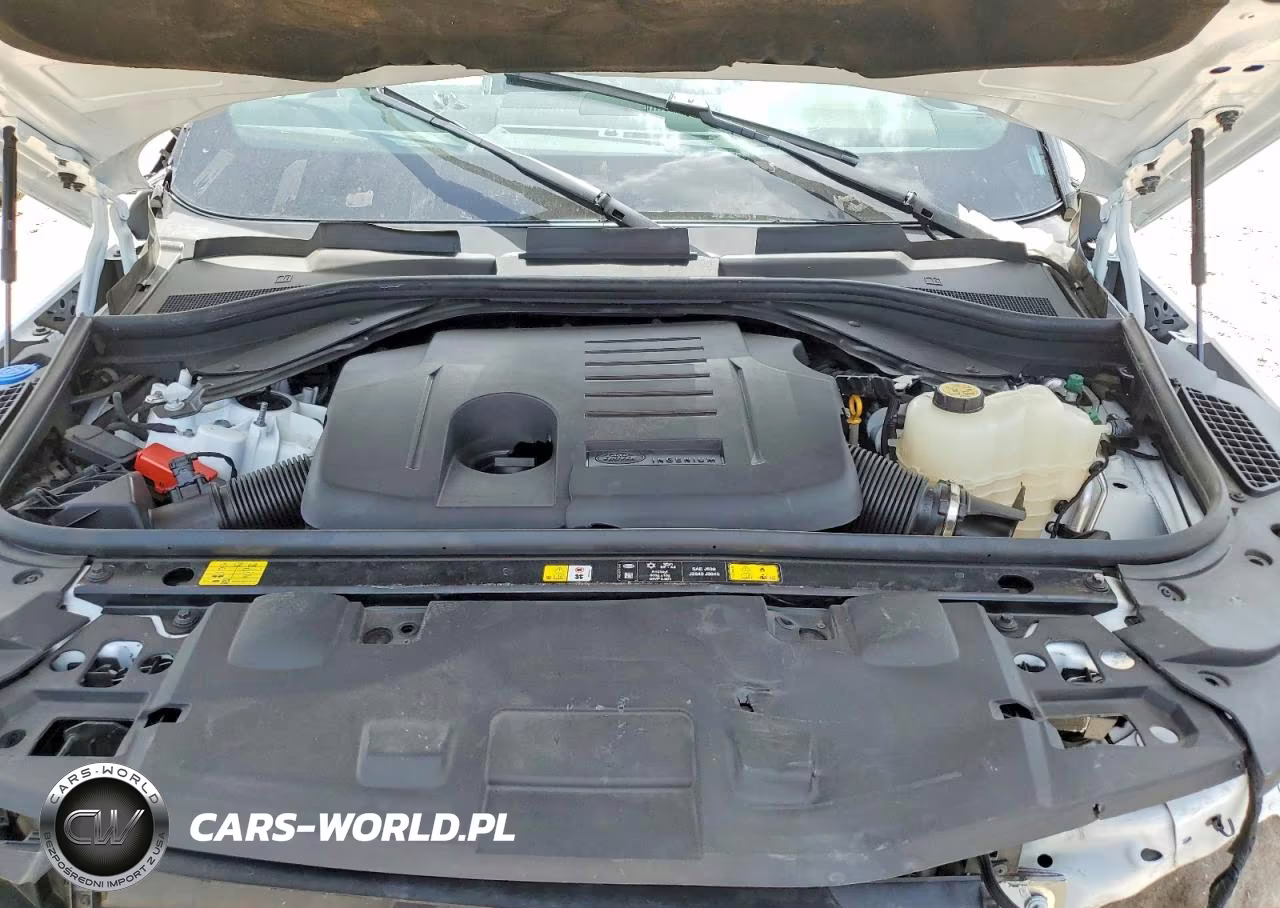 2025 Land Rover Range Rover Sport Se VIN:SAL1P9EU8SA457533 - 12