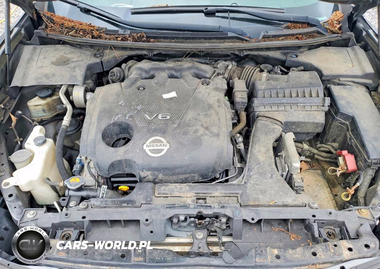 2014 Nissan Maxima 3.5 S VIN:1N4AA5APXEC432424 - 11