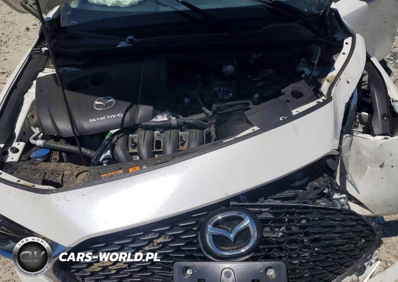 2019 Mazda 3 VIN:3MZBPABL8KM114326 - 11