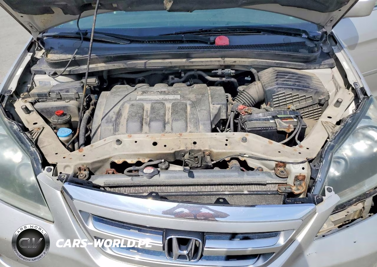 2005 Honda Odyssey Exl VIN:5FNRL38735B135791 - 12