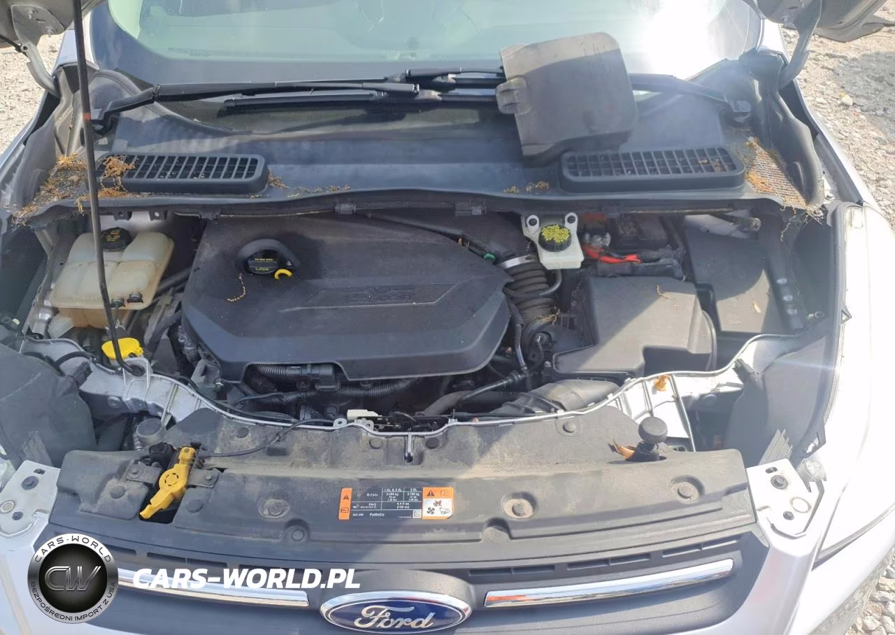 2015 Ford Escape Se VIN:1FMCU9GX3FUA23410 - 12