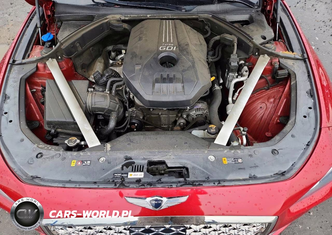 2019 Genesis G70 Advanced VIN:KMTG64LA5KU038314 - 11
