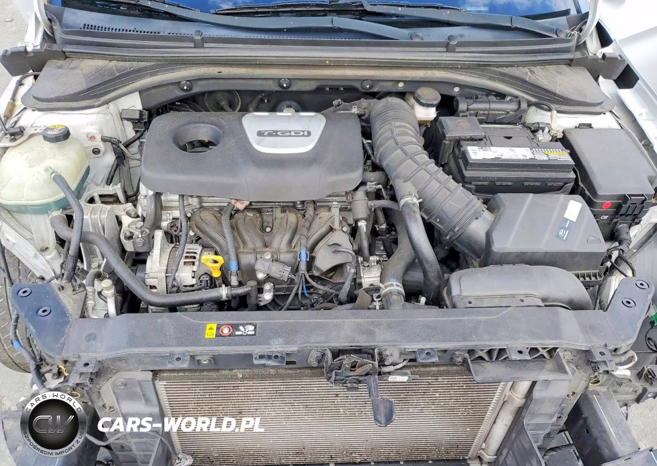 2019 Hyundai Elantra Sport VIN:KMHD04LB9KU813169 - 11