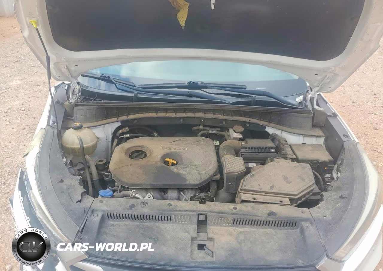 2018 Hyundai Tucson Eco VIN:KM8J33A40JU644022 - 12