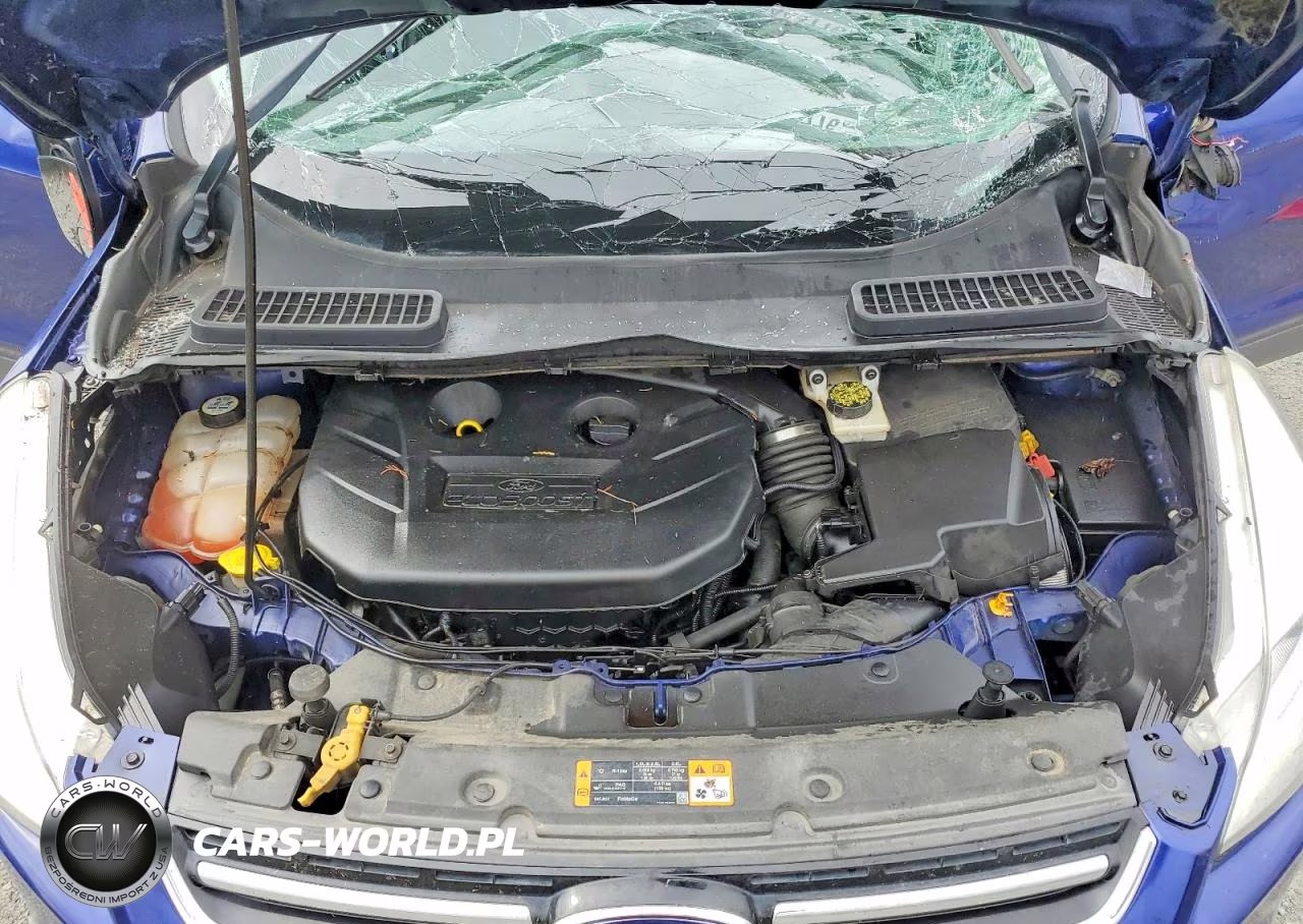 2013 Ford Escape Sel VIN:1FMCU0H90DUC55875 - 12