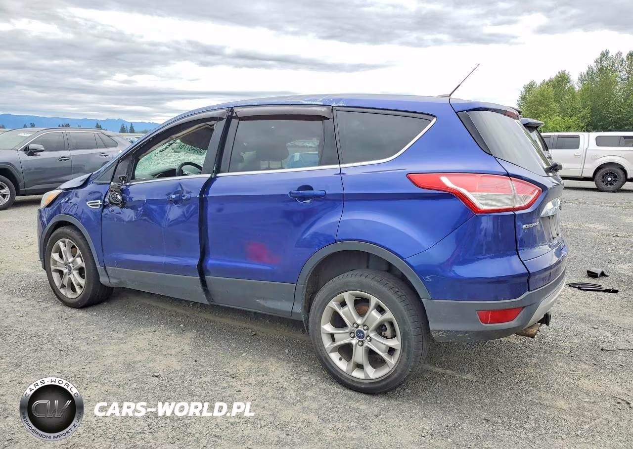 2013 Ford Escape Sel VIN:1FMCU0H90DUC55875 - 2