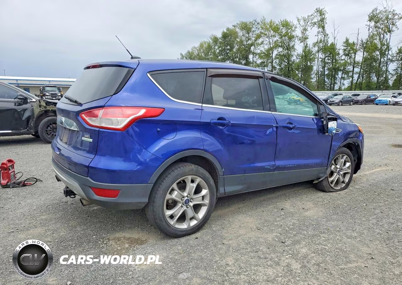 2013 Ford Escape Sel VIN:1FMCU0H90DUC55875 - 3