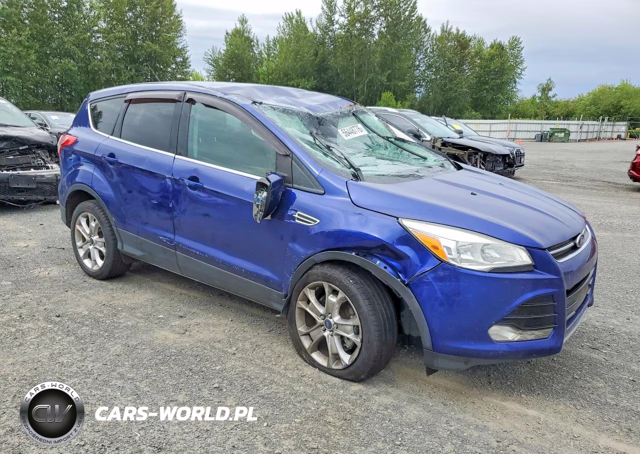 2013 Ford Escape Sel VIN:1FMCU0H90DUC55875 - 4
