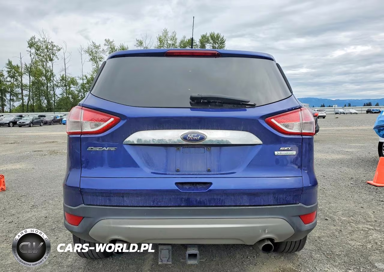 2013 Ford Escape Sel VIN:1FMCU0H90DUC55875 - 6