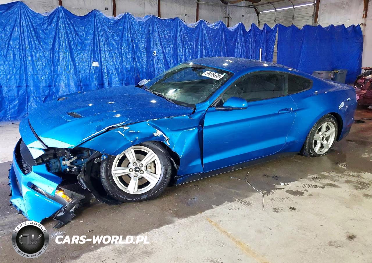 2019 Ford Mustang