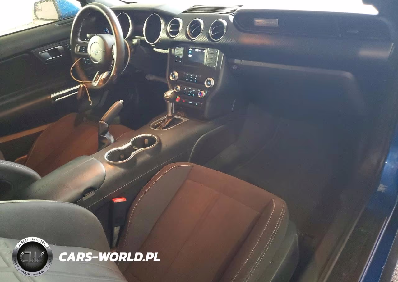 2019 Ford Mustang VIN:1FA6P8TH9K5161075 - 10