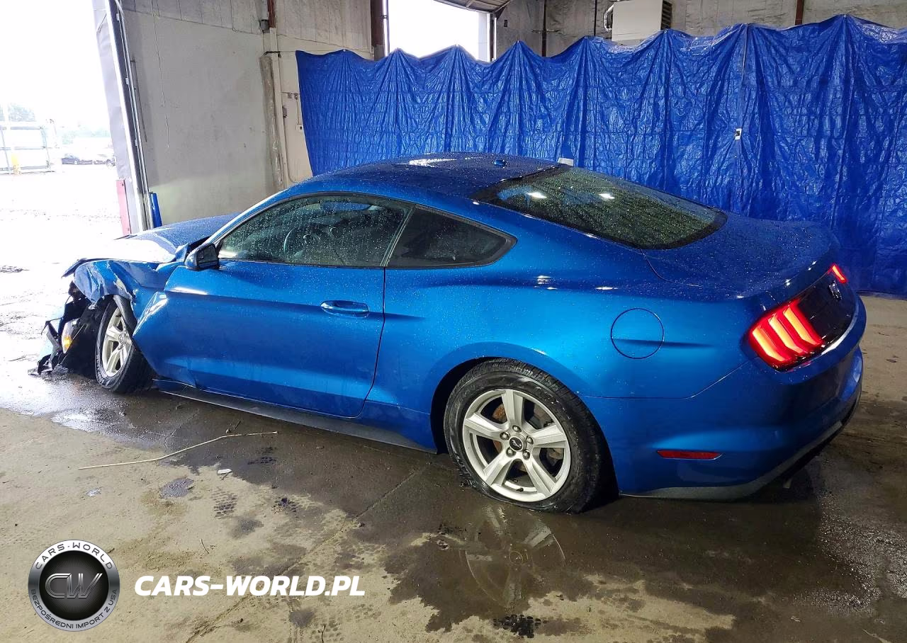 2019 Ford Mustang VIN:1FA6P8TH9K5161075 - 2