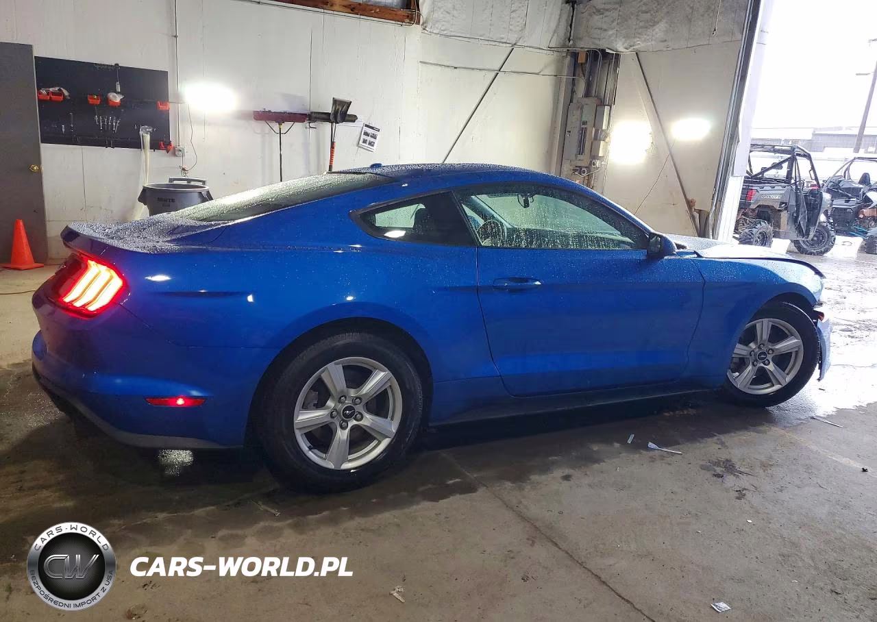2019 Ford Mustang VIN:1FA6P8TH9K5161075 - 3