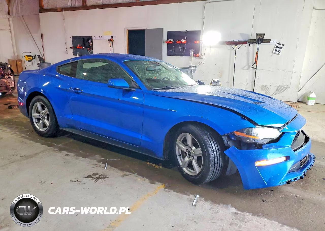 2019 Ford Mustang VIN:1FA6P8TH9K5161075 - 4